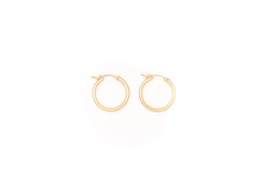 Small Simple Gold Hoops